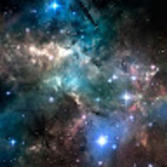 Meet your Posher, Daniel - Picture 1 of 1